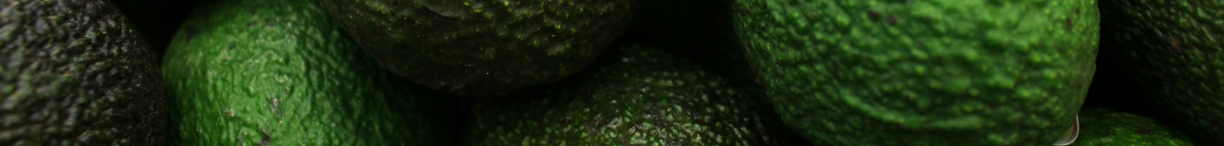 avocados san luka