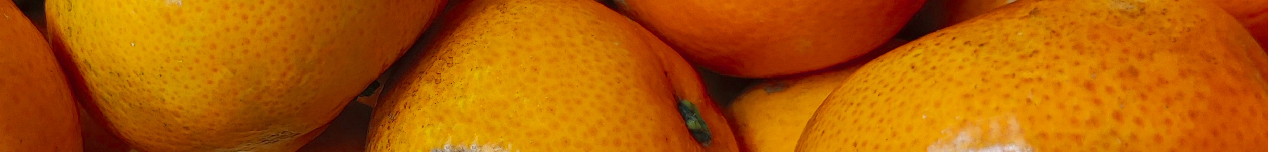 clementines san luka