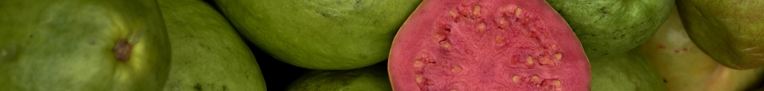 guavas san luka