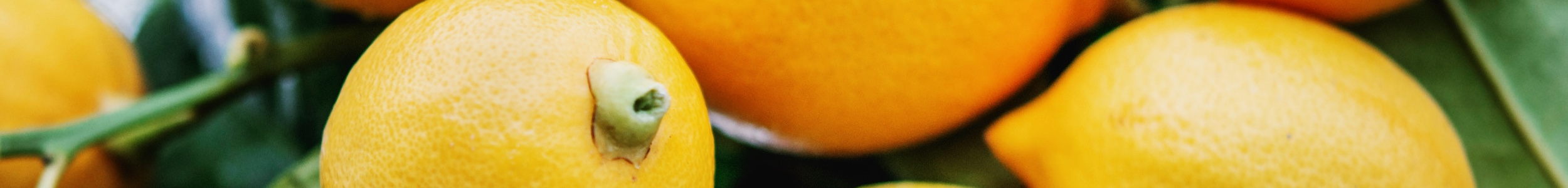 lemons san luka