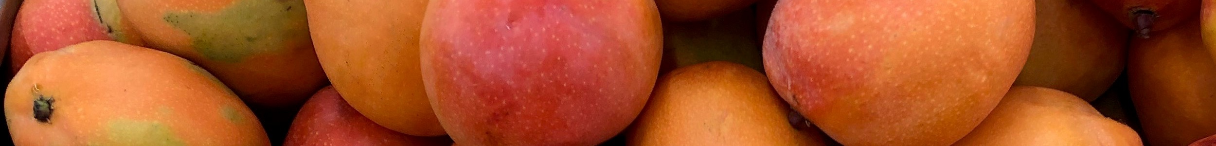 mangoes san luka