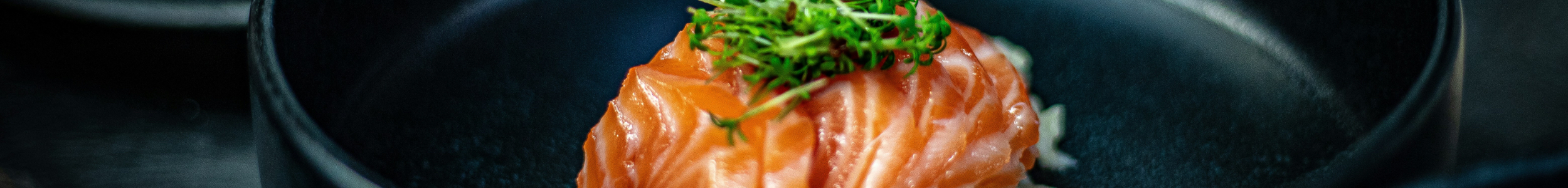 salmon-grupo-san-luka
